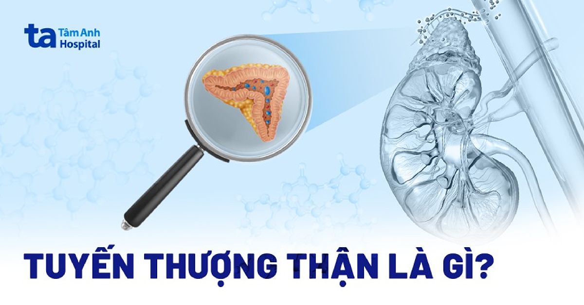 Cường tuyến thượng thận