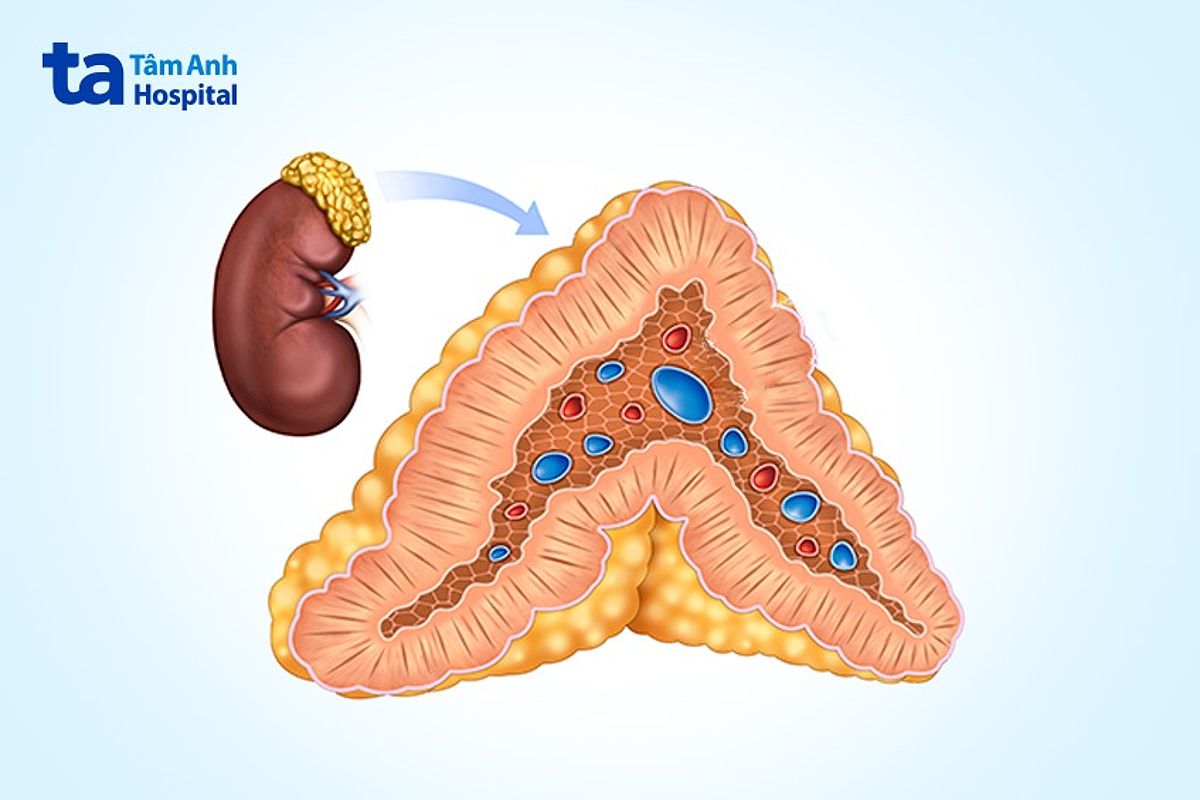 Thay Thế Hormone